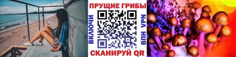 Псилоцибиновые грибы GOLDEN TEACHER  Дмитриев 